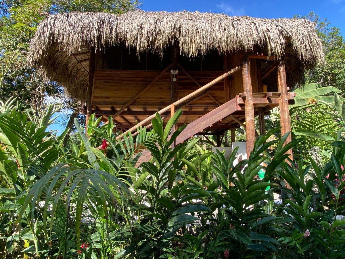 Hotel Salvia Madre Guachaca Zewnętrze zdjęcie