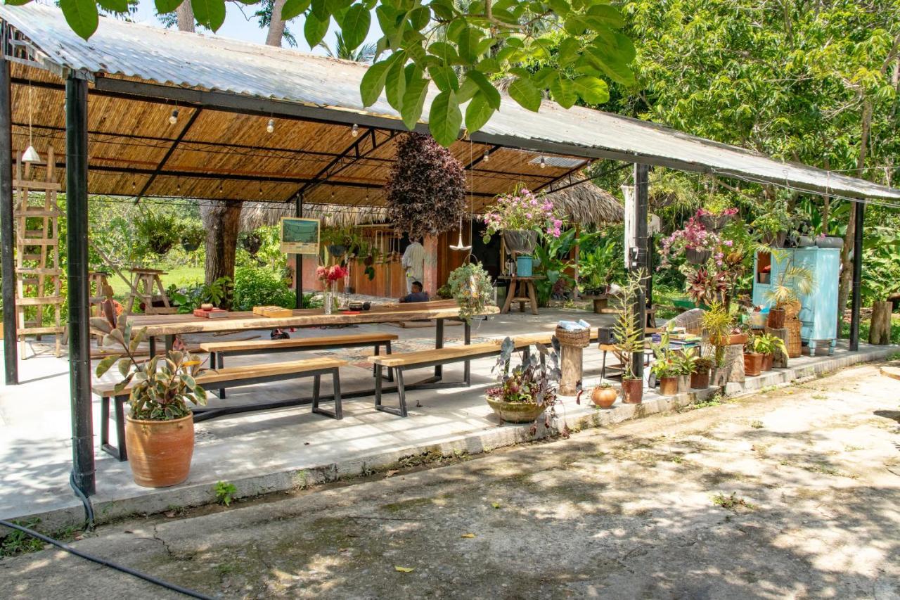 Hotel Salvia Madre Guachaca Zewnętrze zdjęcie