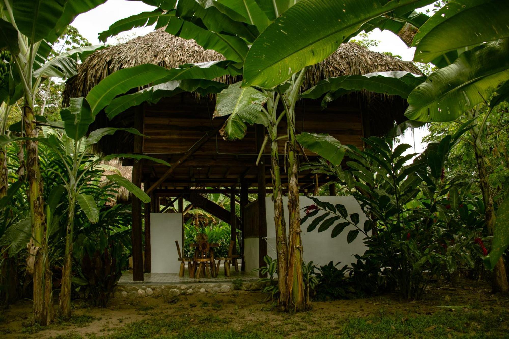 Hotel Salvia Madre Guachaca Zewnętrze zdjęcie