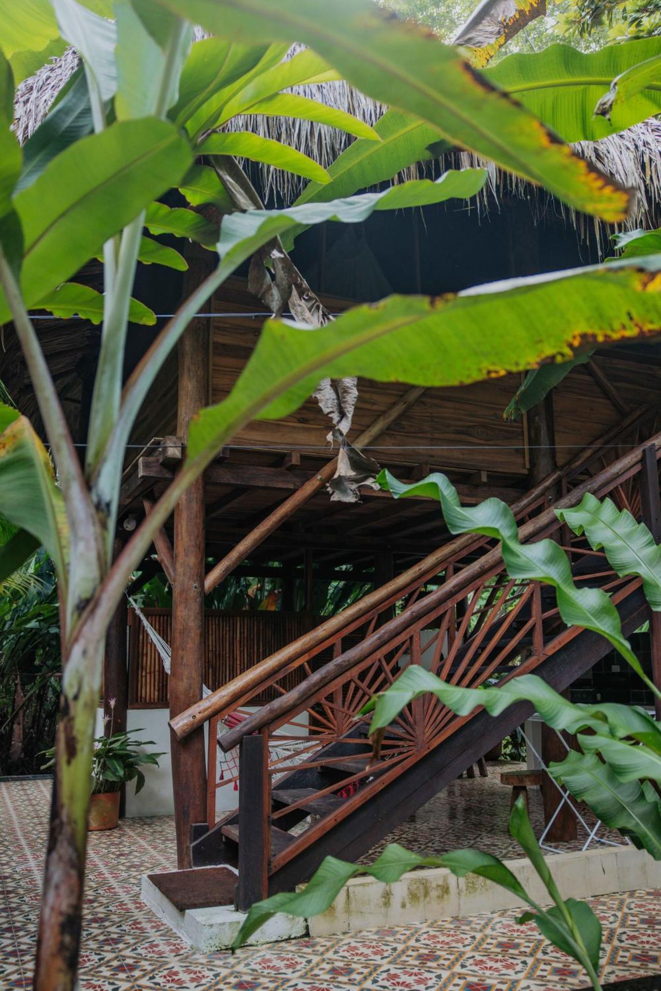 Hotel Salvia Madre Guachaca Zewnętrze zdjęcie