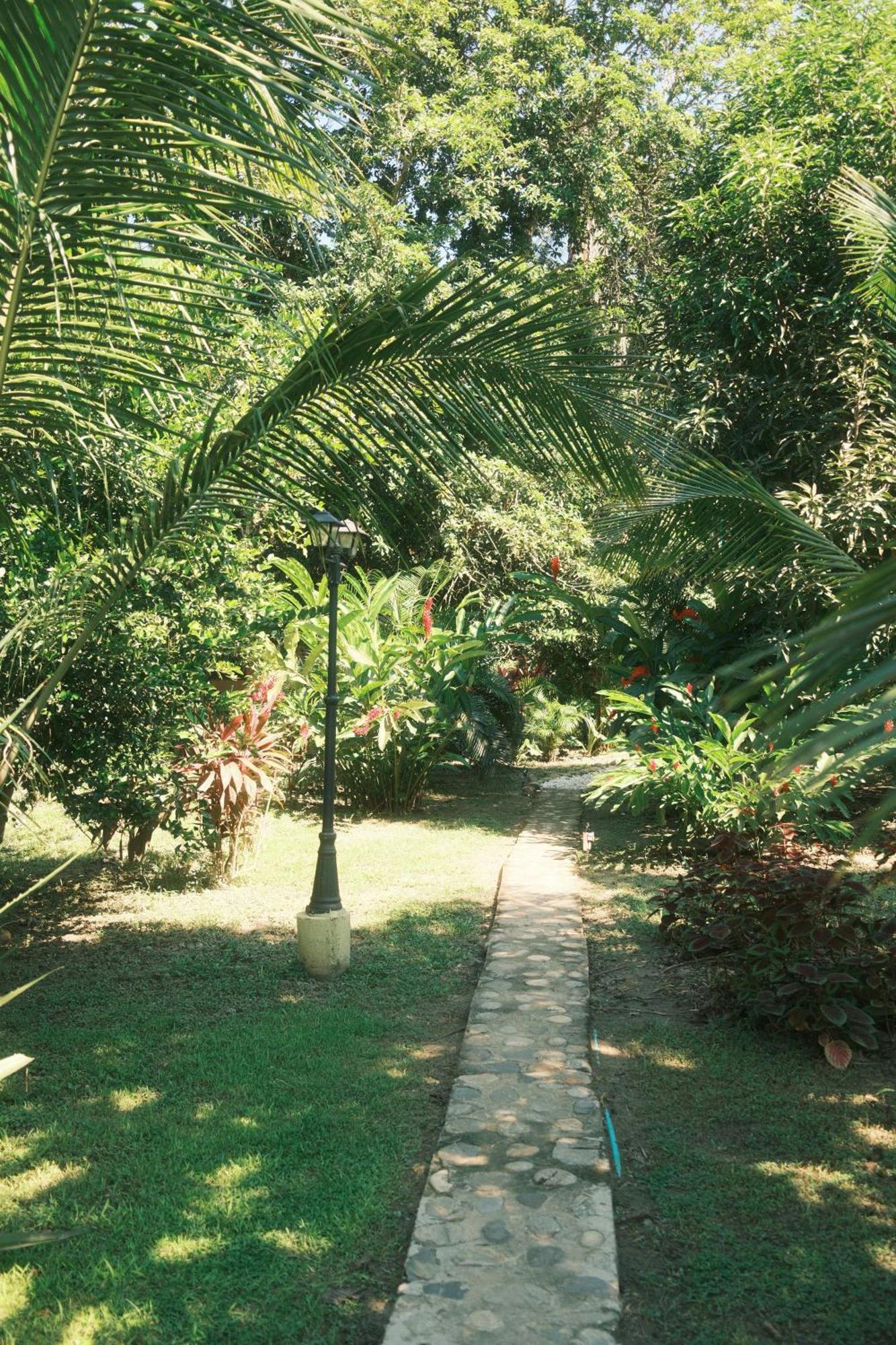Hotel Salvia Madre Guachaca Zewnętrze zdjęcie